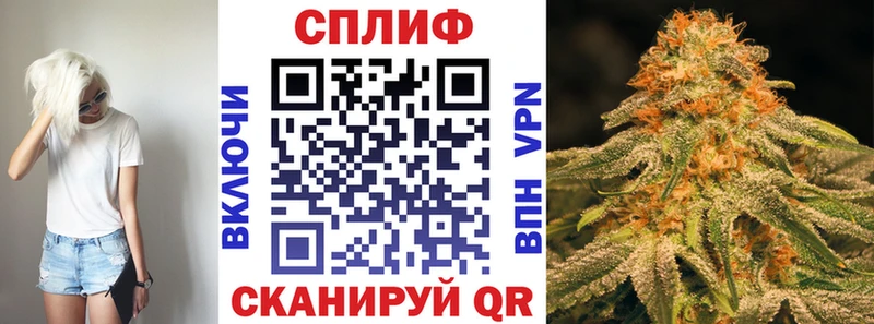 Купить закладку Alpha PVP Мефедрон МАРИХУАНА Гатчина