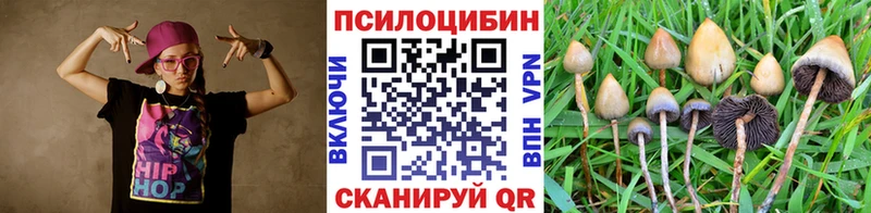 Купить Гатчина Псилоцибиновые грибы мухоморы